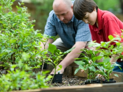 boy in blue and white checkered button up shirt holding green plant