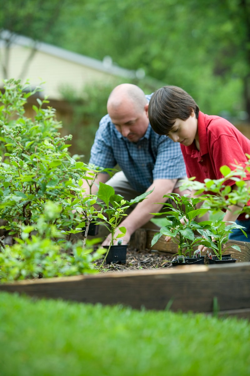 boy in blue and white checkered button up shirt holding green plant